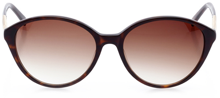 toulouse: women's rectangle sunglasses in tortoise - front view