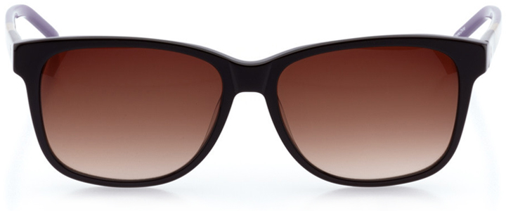 bridgeport: women's rectangle sunglasses in brown - front view