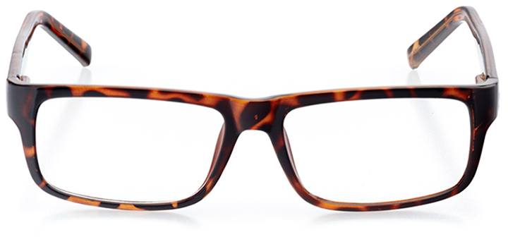 turin: men's rectangle eyeglasses in tortoise - front view