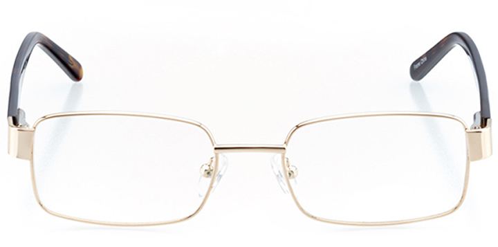 mountain view: men's square eyeglasses in gold - front view