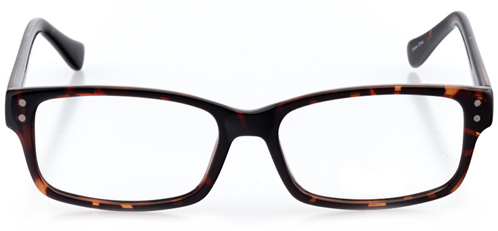 the hague: men's rectangle eyeglasses in tortoise - front view