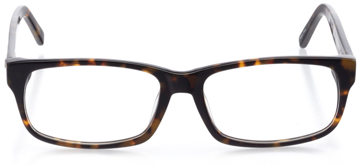 reykjavik: men's rectangle eyeglasses in tortoise - front view