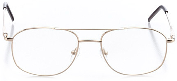 twin falls: men's rectangle eyeglasses in gold - front view