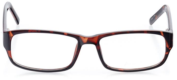 burgas: men's rectangle eyeglasses in tortoise - front view
