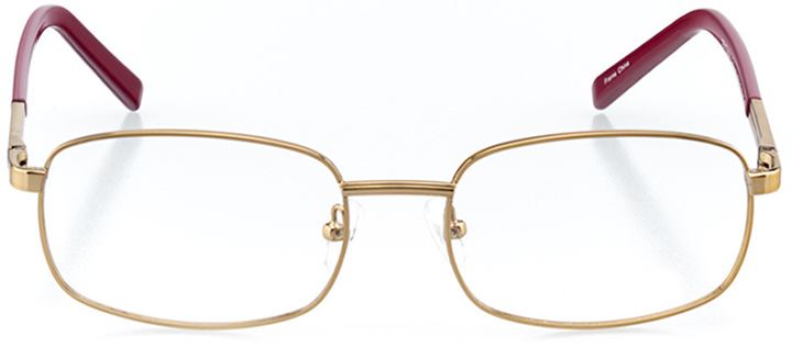 cortez: men's rectangle eyeglasses in gold - front view