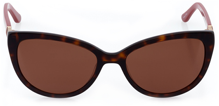 huntington beach: women's cat eye sunglasses in tortoise - front view