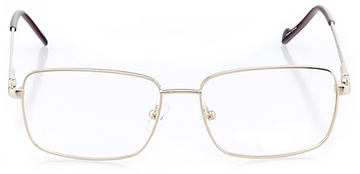 amherst: men's rectangle eyeglasses in gold - front view