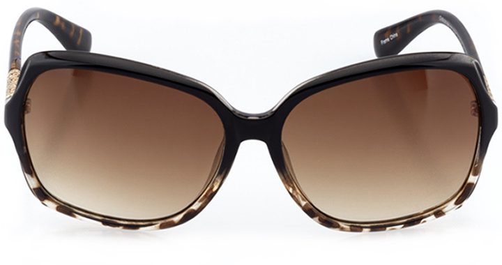 bayonne: women's butterfly sunglasses in tortoise - front view