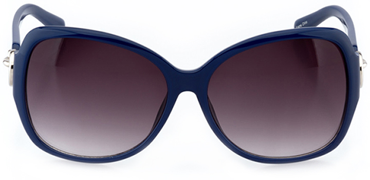 cambrai: women's butterfly sunglasses in blue - front view
