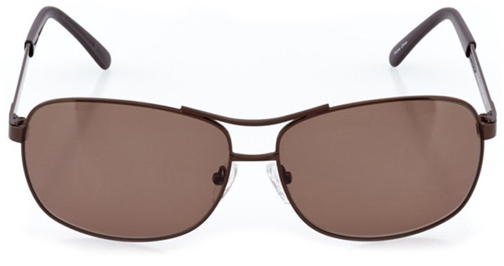 winchester: men's rectangle sunglasses in brown - front view