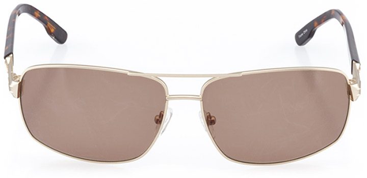 narvik: men's rectangle sunglasses in gold - front view
