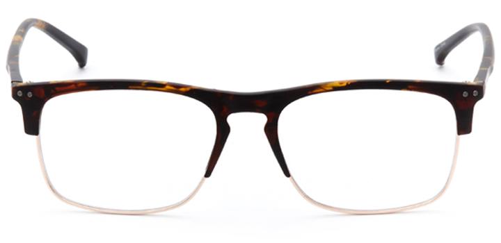 talbot green: men's browline eyeglasses in tortoise - front view