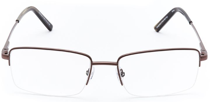 rhine falls: men's rectangular eyeglasses in brown - front view